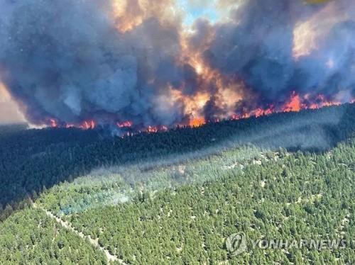 캐나다 서부에서 발생한 대형 산불[AFP=연합뉴스 자료사진] 