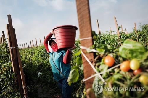 중국 기업 농지매입 속도에 놀란 미 의회, 규제 추진