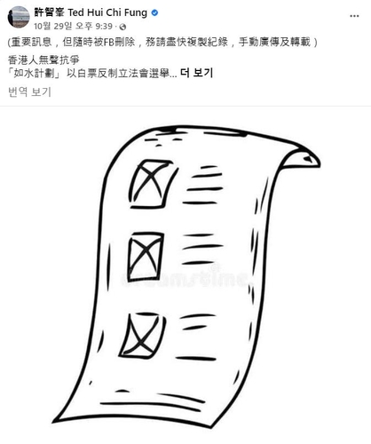홍콩 탈출 정치인, 反민주에 "백지투표로 저항" 호소