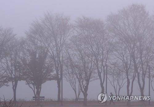 충북 오전 짙은 안개…미세먼지 '나쁨'
