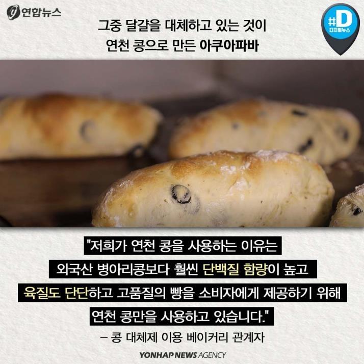[카드뉴스] '청정 DMZ' 연천의 희망, 콩 심은데 꿈 난다! - 8