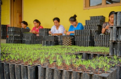 과테말라 "기후변화로 훼손된 숲 복원 지원 한국에 감사"