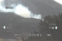 경북 영천 야산서 산불…660㎡ 소실