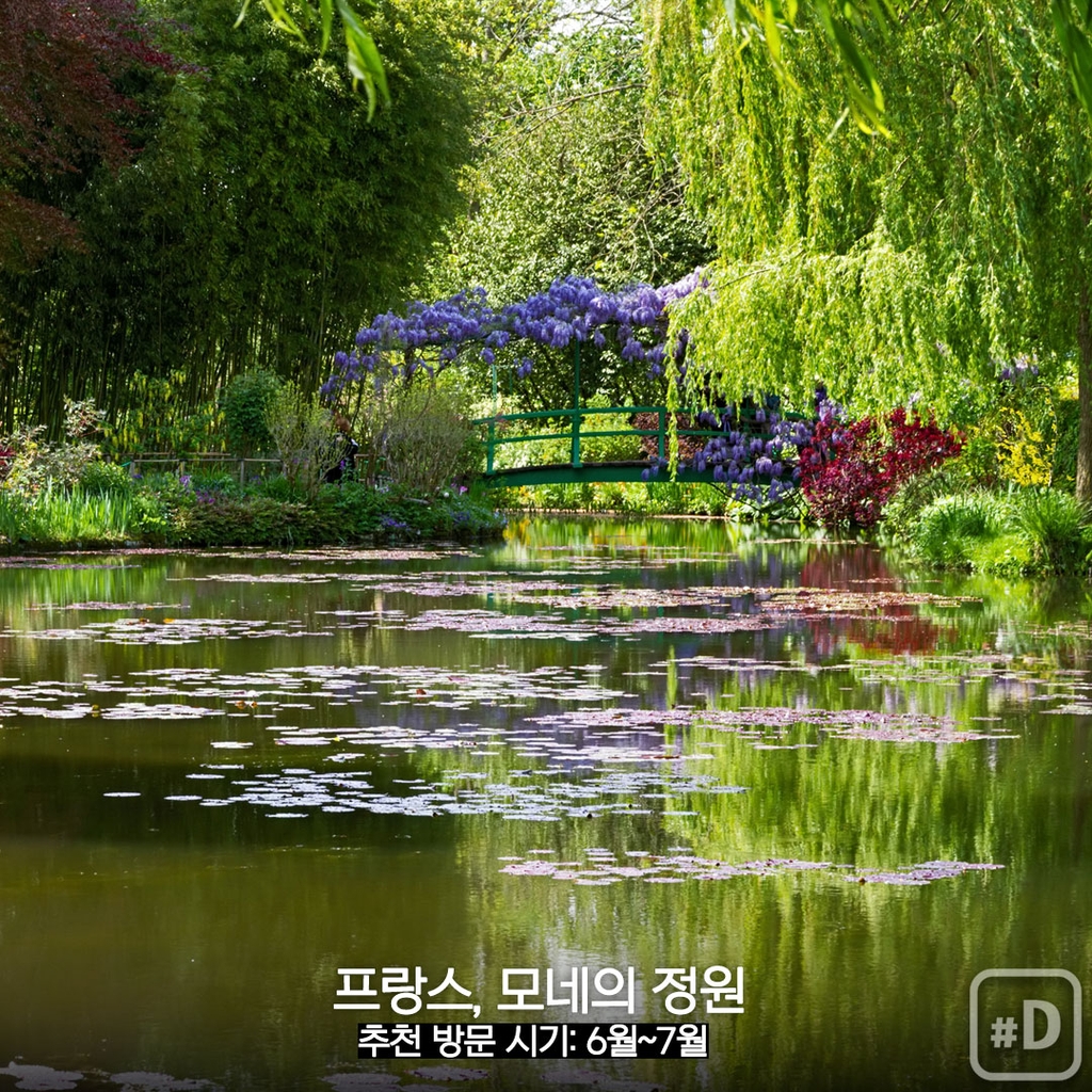 [여행honey] 꽃으로 힐링을…세계 유명 정원 세 곳 - 7