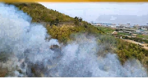 포항 호미곶면 산에서 불…헬기 1대·인력 49명 투입 진화 중