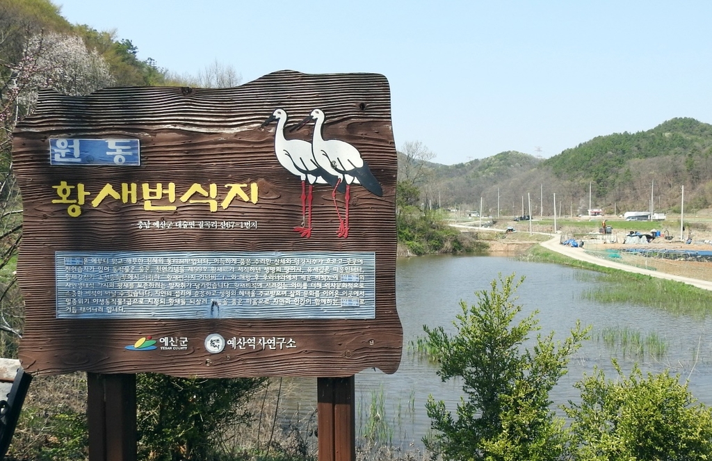 80여년 만에 다시 예산군 대술면에서 황새 둥지 틀고 번식 성공 | 연합뉴스