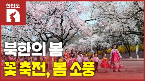 [한반도N] 봄바람 휘날리는…북한의 '꽃놀이'는 어떻게?