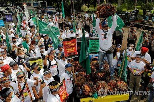 17일 인도네시아 경제조정부 앞 팜농민 시위
