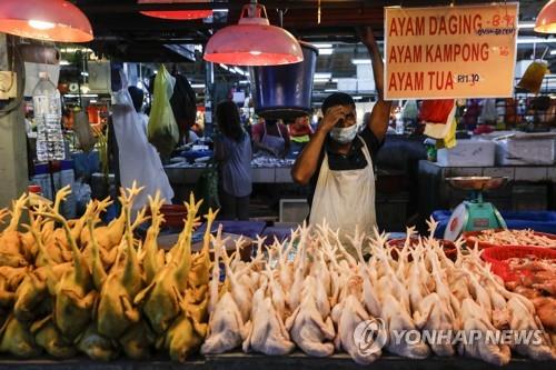 24일 촬영된 쿠알라룸푸르 시장의 닭고기 상인