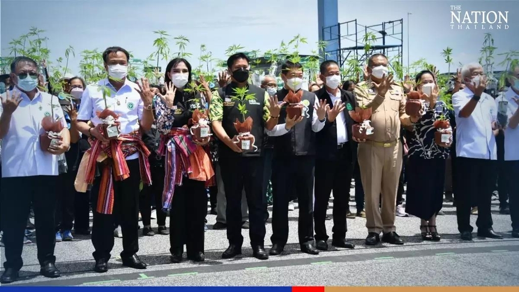대마나무 묘목 배포 행사에 참여한 태국 정부 관계자들