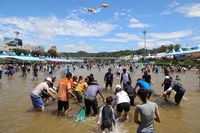 '여름 축제 펼쳐지는 경북으로 오세요'…은어·오징어 축제 등