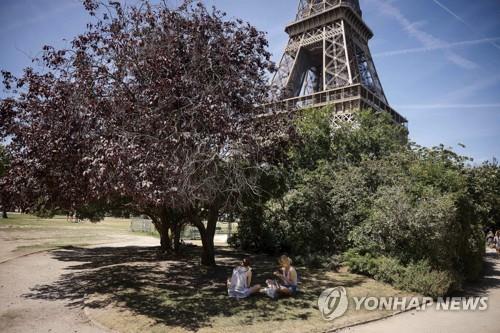 친환경 도시 만든다며 100년된 나무 베는 파리의 '아이러니'
