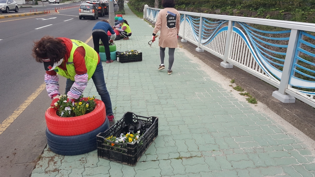 제주시 오라동지역 도로변에 설치된 폐타이어에 꽃을 심는 봉사자들