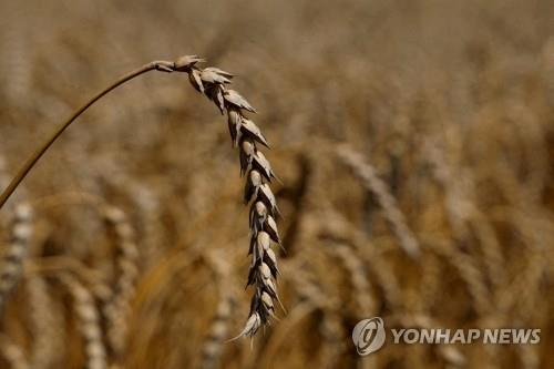 "우크라 곡물저장고 14% 사용불능 상태…공급부족 촉발 우려"