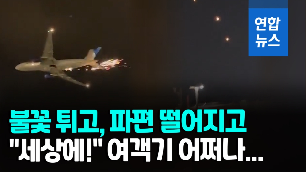 [영상] 시뻘건 불꽃 '펑펑'…256명 태운 미 여객기 이륙 직후 비상착륙 - 2