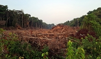  '지구의 허파' 아마존이 아프다…피 흘린 듯 붉은 땅