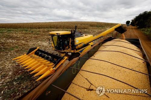 브라질 옥수수 수확