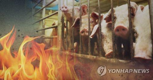 김해 한림면 축사에 불…새끼돼지 320마리 죽어