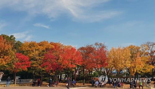 강북구 4·19민주묘지서 29일 '가을밤의 음악축제'