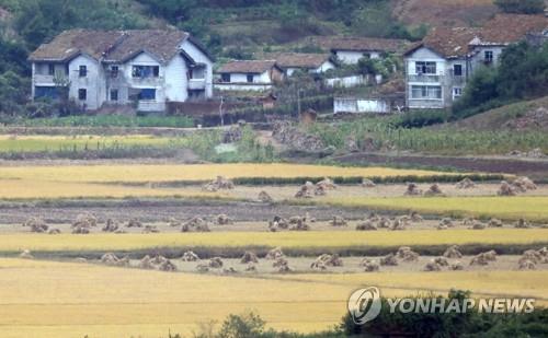 WFP, 식량위기 우려지역에 북한 포함…"겨울 강우량 부족"