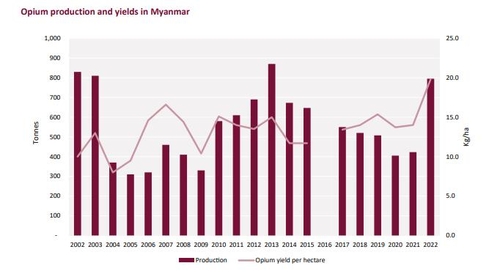 미얀마, 쿠데타 이후 아편 생산량 급증…작년 88%↑
