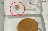 맥도날드 매장 음식서 '실 추정' 이물질 검출…조사 중