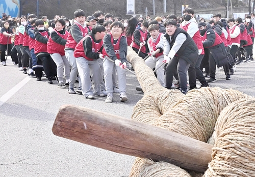 2023 삼척정월대보름제 삼척기줄다리기