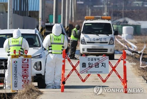 AI 발생 농가 긴급 초동방역