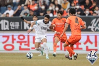 K리그1 강원 '핵심 공격수' 양현준, 코뼈 골절…장기 이탈 우려