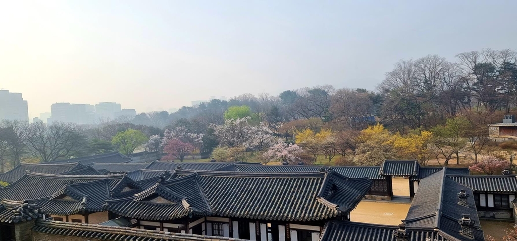낙선재 후원에서 바라본 풍경