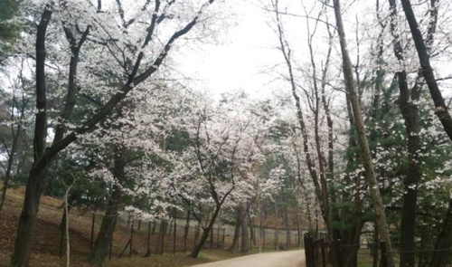 남양주 홍릉과 유릉 둘레길 일원