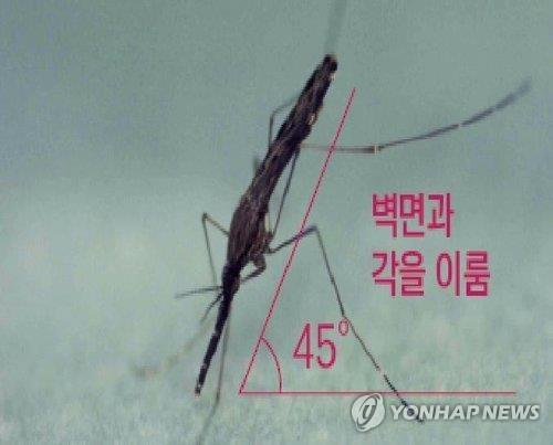 파주에서 채집된 말라리아 매개 모기