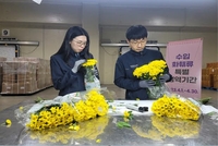 내달 카네이션·장미 등 수입 화훼류 특별검역