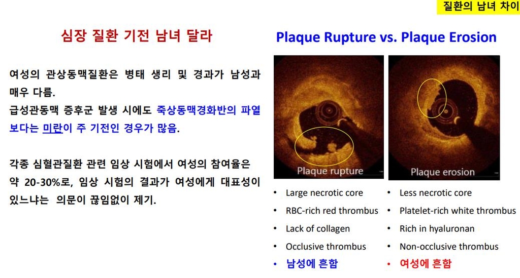 [김나영 분당서울대병원 성차의학연구소장 제공]