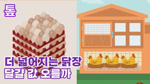 [톺뉴스] 더 넓어지는 닭장, 달걀값 오를까