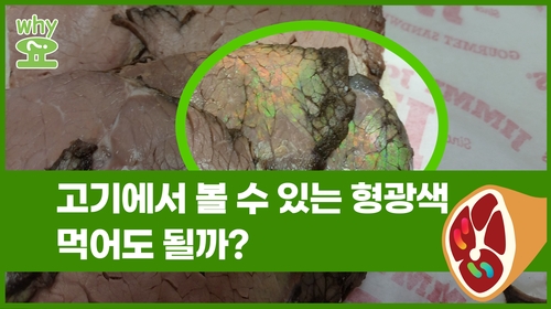 [Why요?] 고기에 있는 의심스러운 빛깔…먹어도 될까?