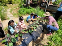 [나는 도시농부] ② 직접 키운 '못난이' 작물 나누며 공동체 회복