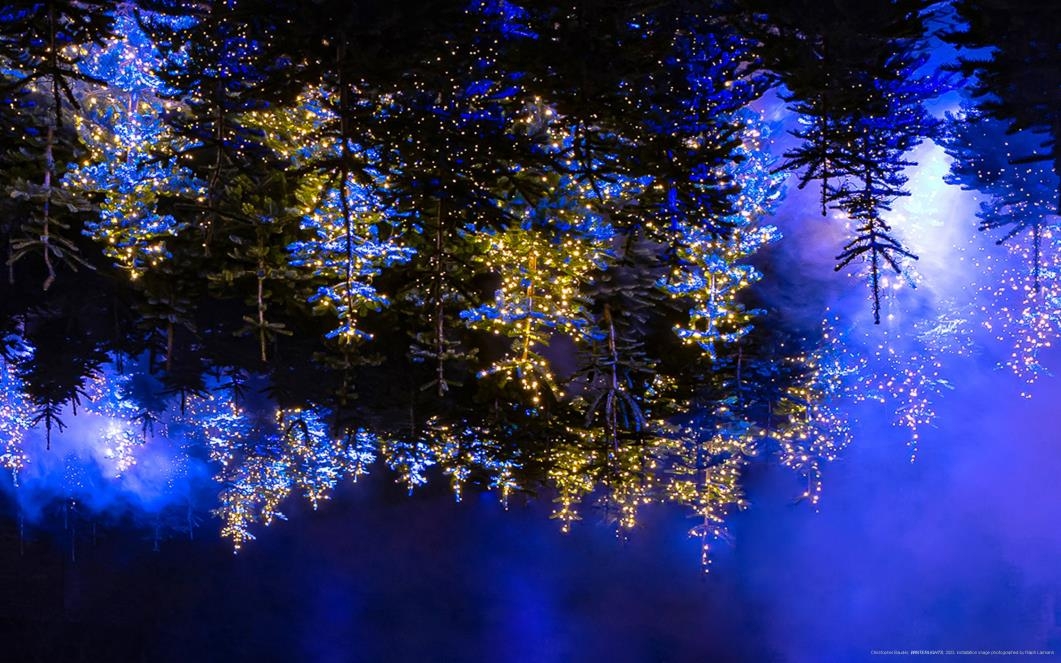 서울숲에 설치된 크리스토퍼 바우더의 '겨울빛, 윈터라이트'