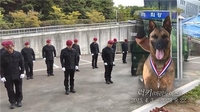 국민에 헌신한 경찰견, 동물 현충원에 묻힌다…"예우 강화"