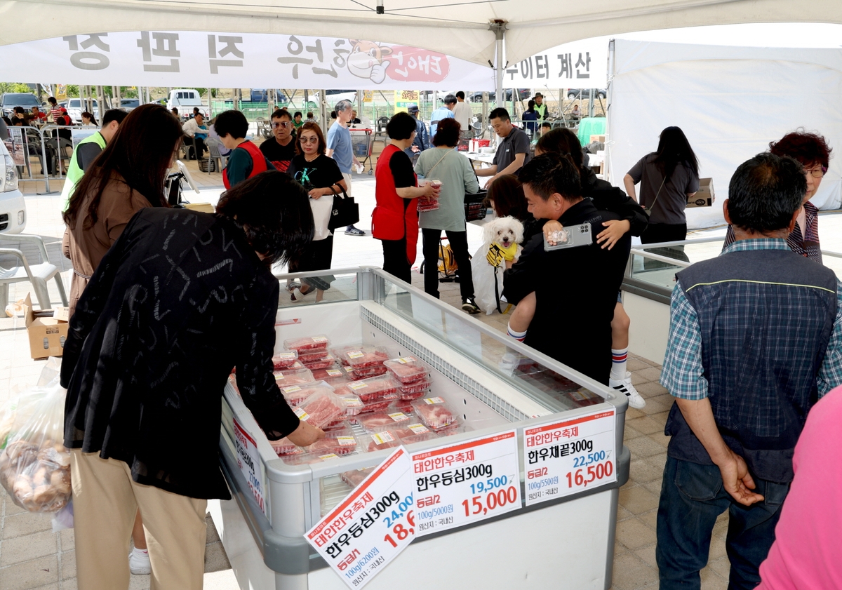 지난해 태안한우축제 모습