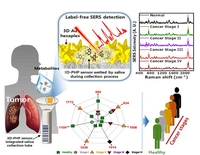 조직검사 없어도 암 진단 가능…재료연, 체액기반 진단기술 개발