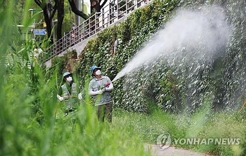 장마 뒤 모기 방역