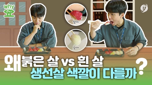  붉은 살 vs 흰 살…생선살 색깔 왜 다를까?