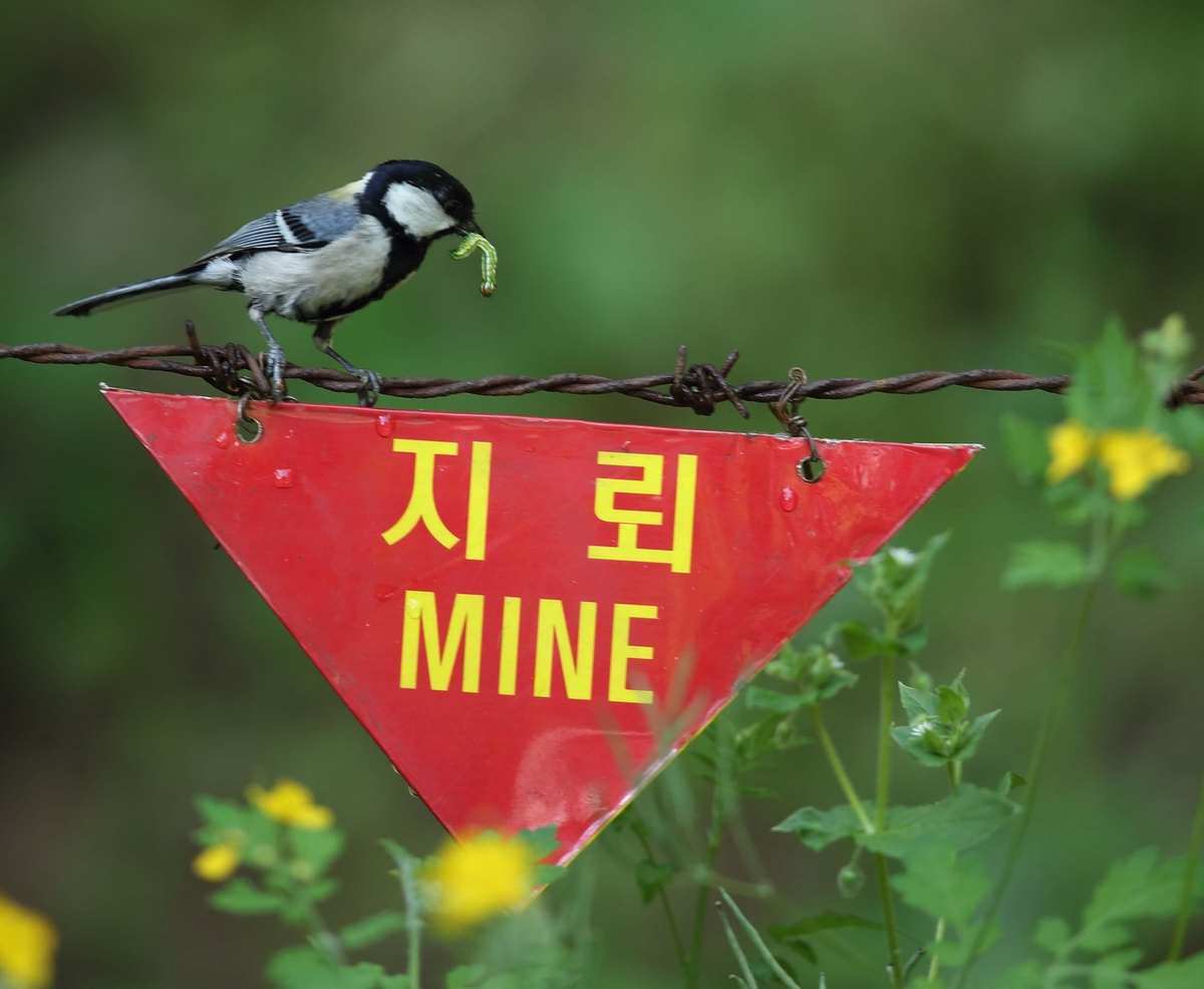 전영재 생태전문작가 'DMZ 생태사진전' 19일 야외 전시 개막