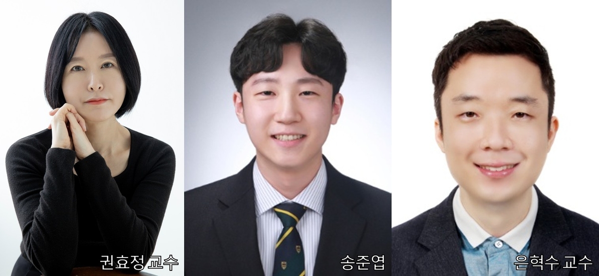 공동 연구팀