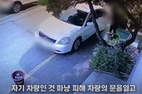 자기 잡으러 온 줄도 모르고…형사 잠복차량 털려던 50대 절도범