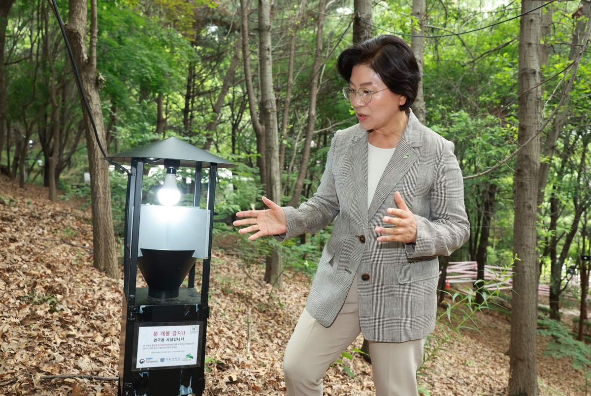 은평구, 여름철 대발생 '러브버그' 친환경 방제 총력