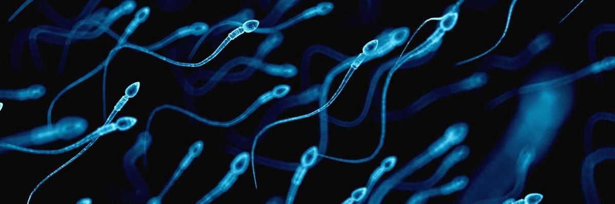 美 난임부부, AI 기술로 남편 정자 찾아내 18년만에…