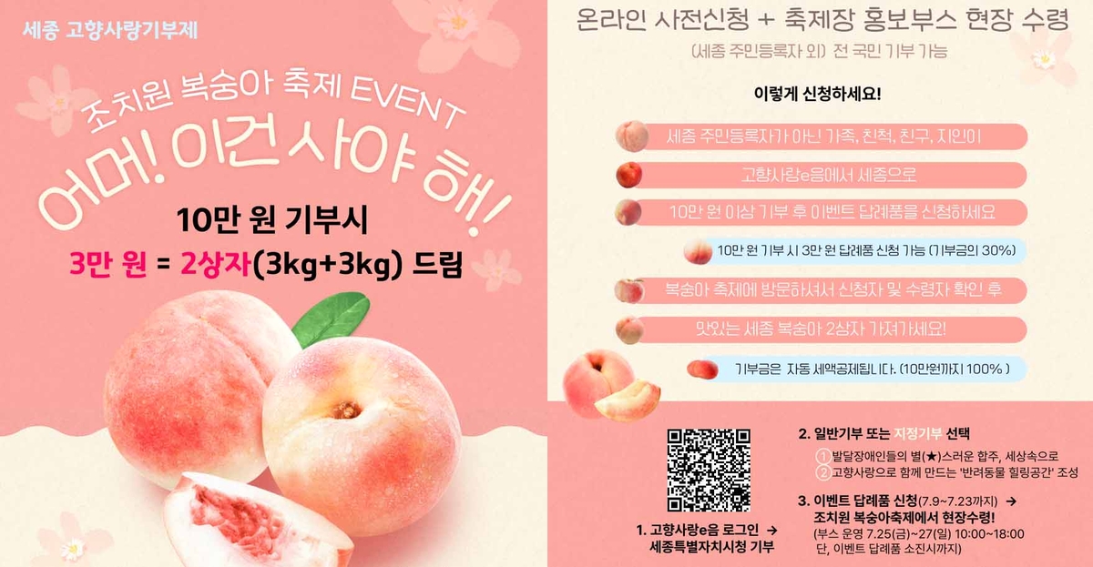 [세종소식] 고향기부금 10만원 내면 복숭아 2상자 선…
