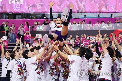 김연경 헹가래 치는 흥국생명 선수들